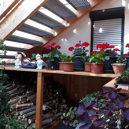 Apartchalet Sisi- Including Saalfelden Leogang Card エクステリア 写真