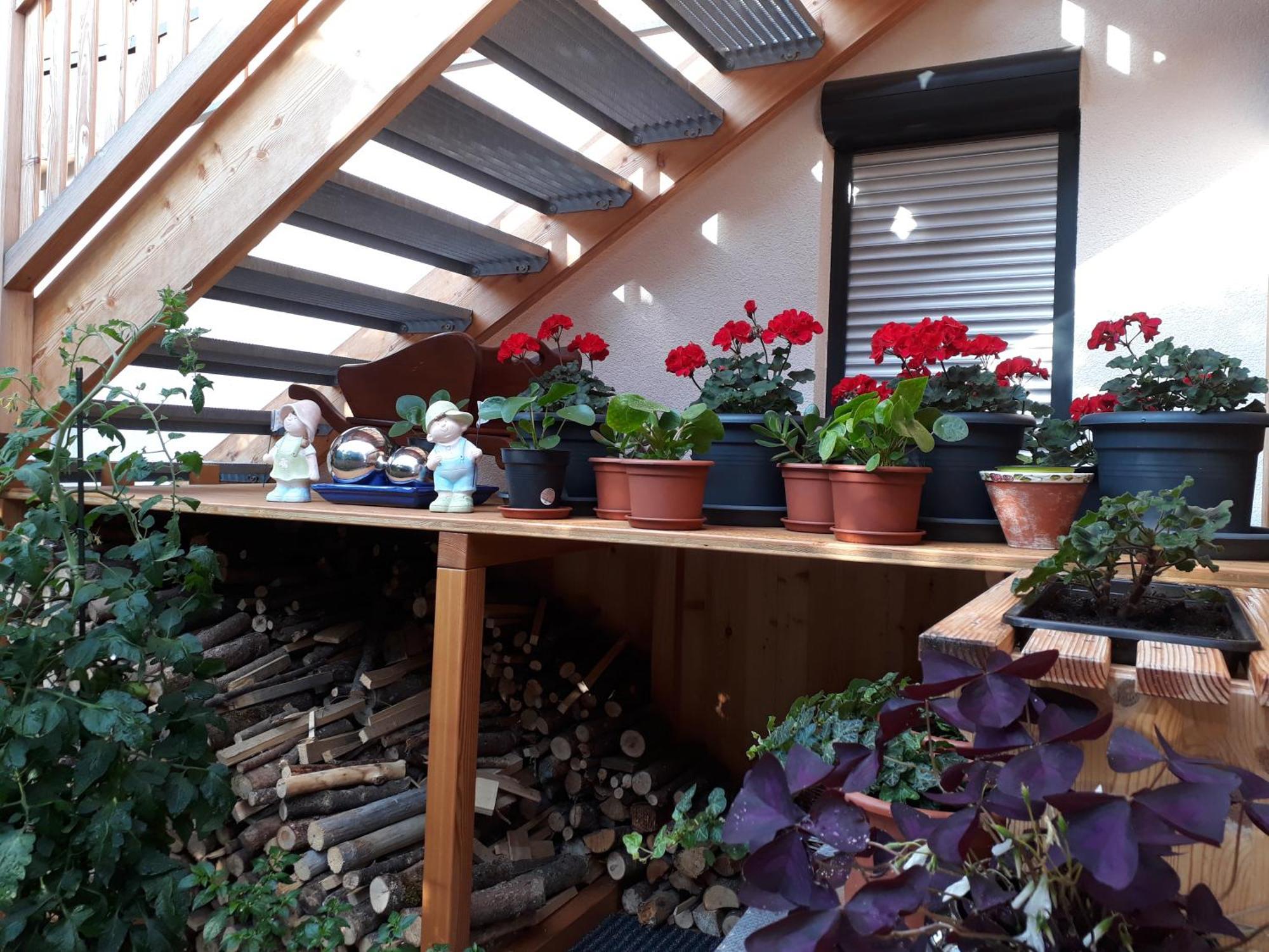 Apartchalet Sisi- Including Saalfelden Leogang Card エクステリア 写真
