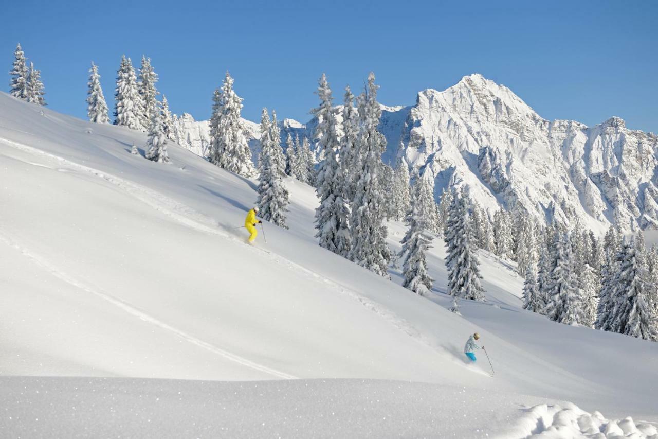 Apartchalet Sisi- Including Saalfelden Leogang Card エクステリア 写真